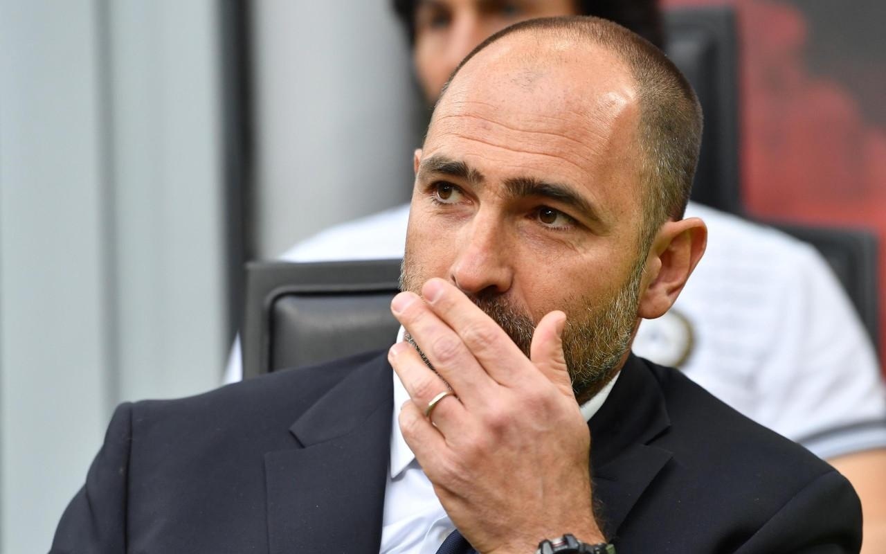 赛场上屡获 赛场上屡获