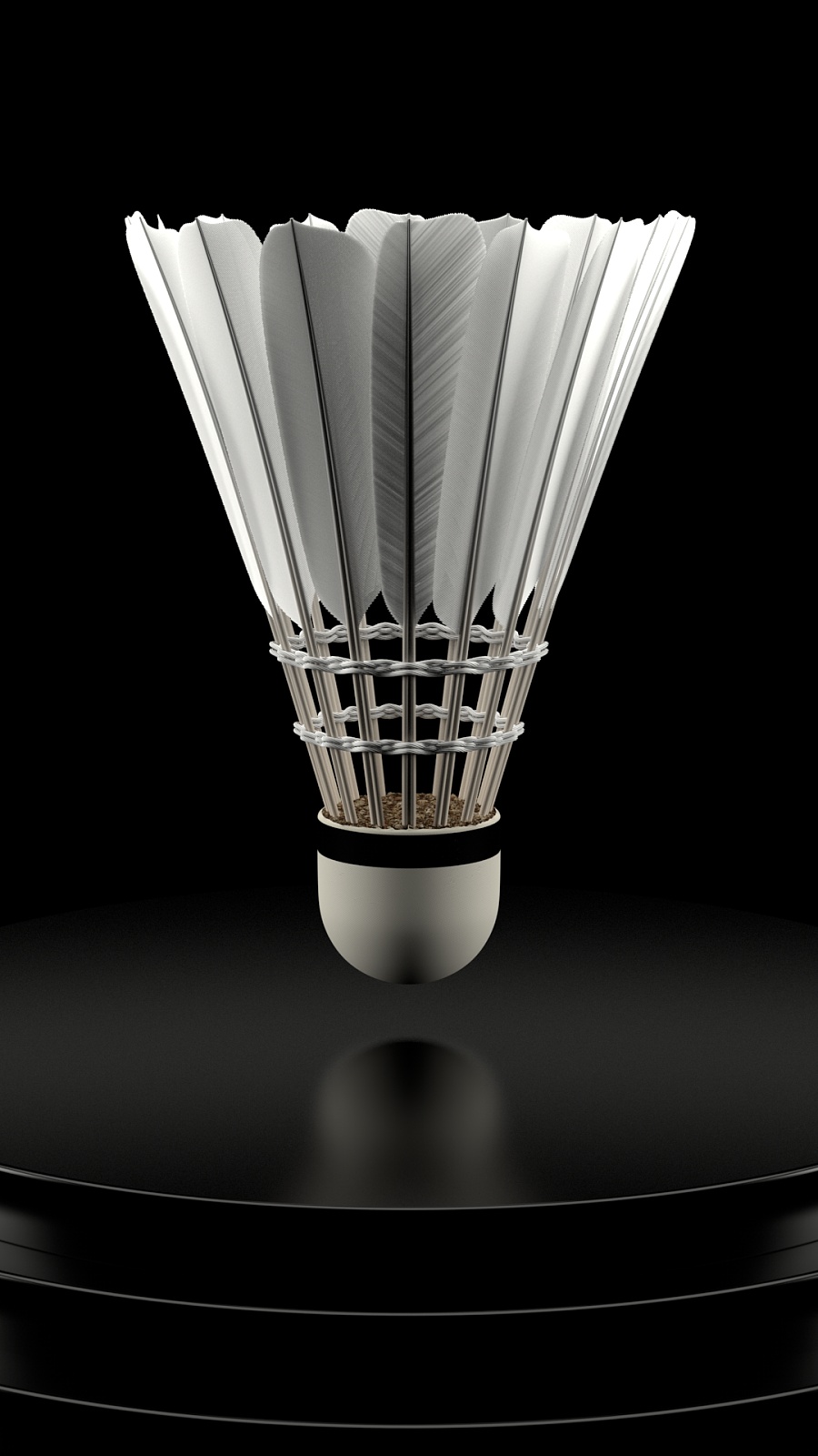 不仅丰富了 不仅丰富了