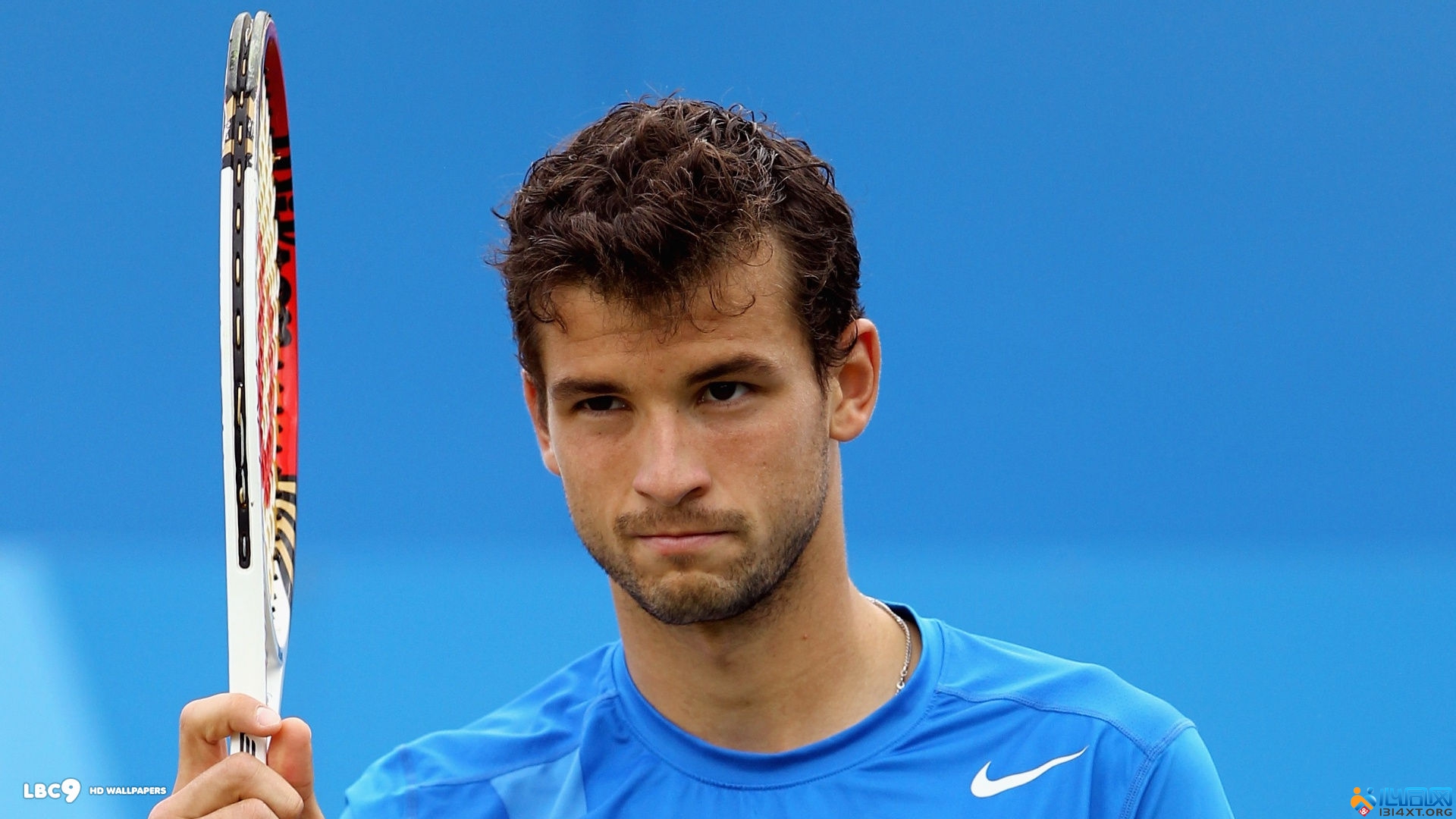 都有无数不 都有无数不